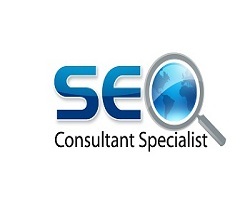 Orlando SEO Consultant Services for Businesses in the Orlando Florida area